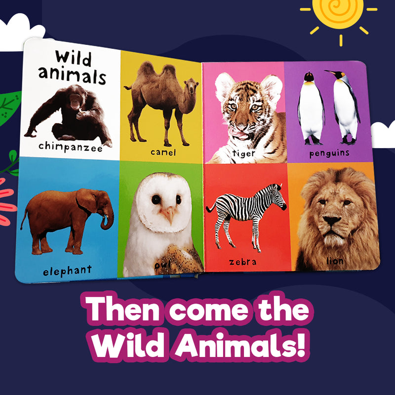Priddy Books: First 100 Animals (Board Book)